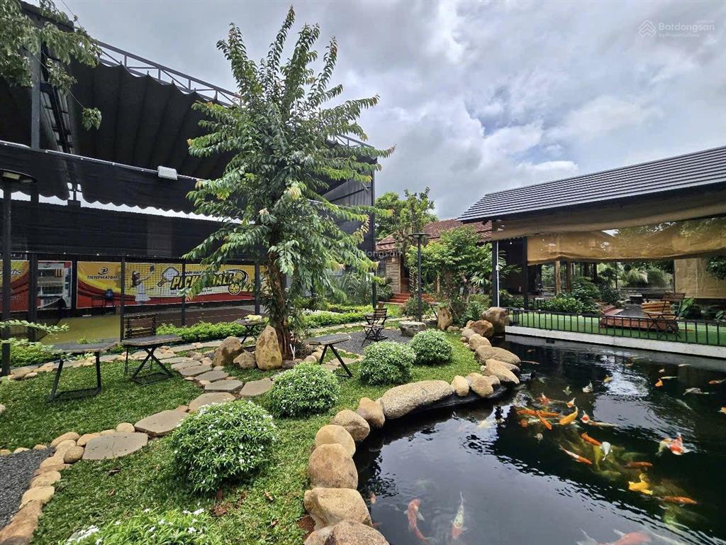 Cho thuê khu tổ hợp quán cà phê + sân pickleball + nhà vườn + hồ cá