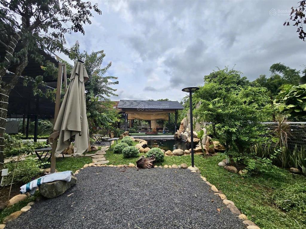 Cho thuê khu tổ hợp quán cà phê + sân pickleball + nhà vườn + hồ cá