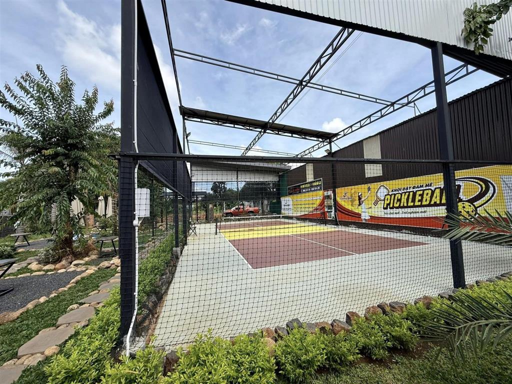 Cho thuê khu tổ hợp quán cà phê + sân pickleball + nhà vườn + hồ cá