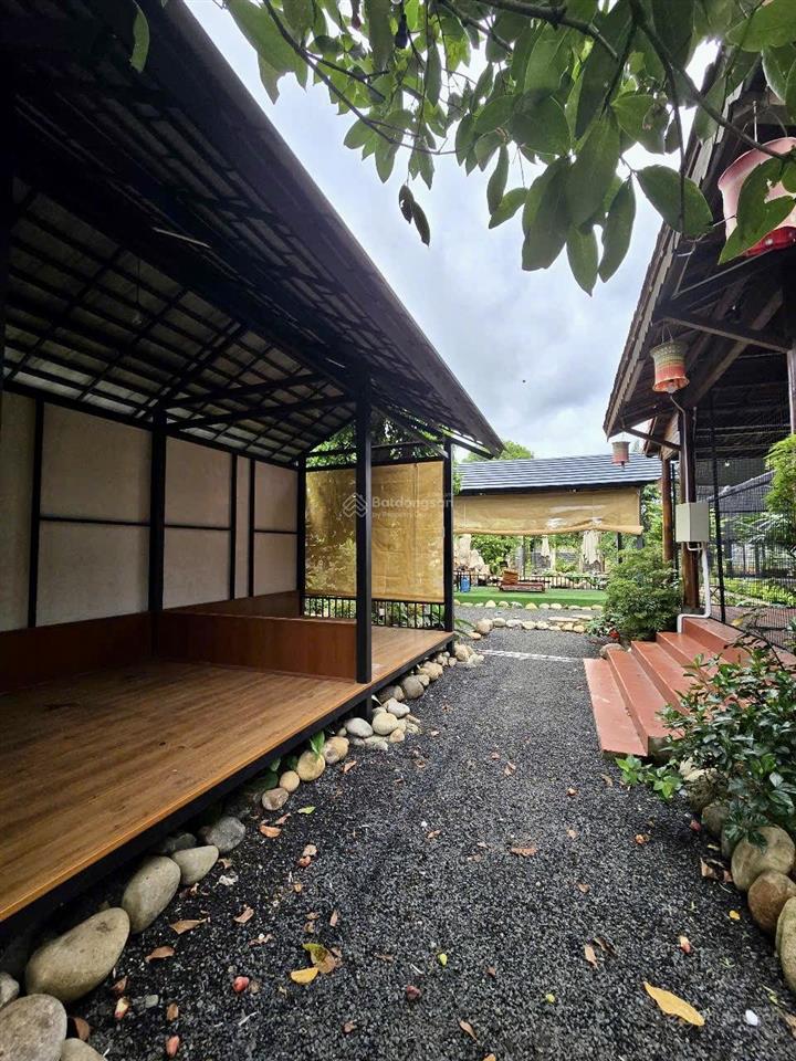 Cho thuê khu tổ hợp quán cà phê + sân pickleball + nhà vườn + hồ cá