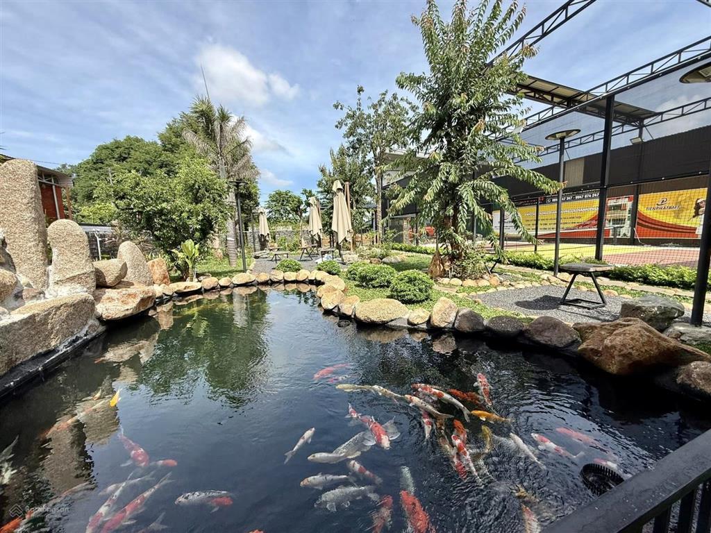 Cho thuê khu tổ hợp quán cà phê + sân pickleball + nhà vườn + hồ cá