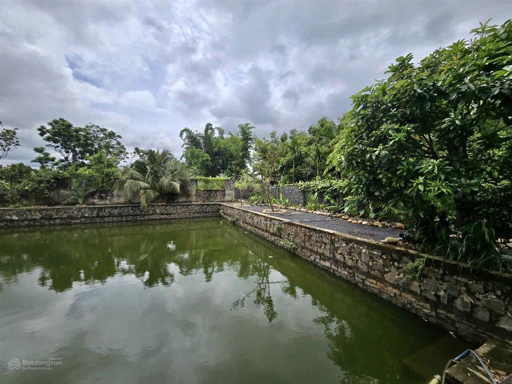 Cho thuê khu tổ hợp quán cà phê + sân pickleball + nhà vườn + hồ cá