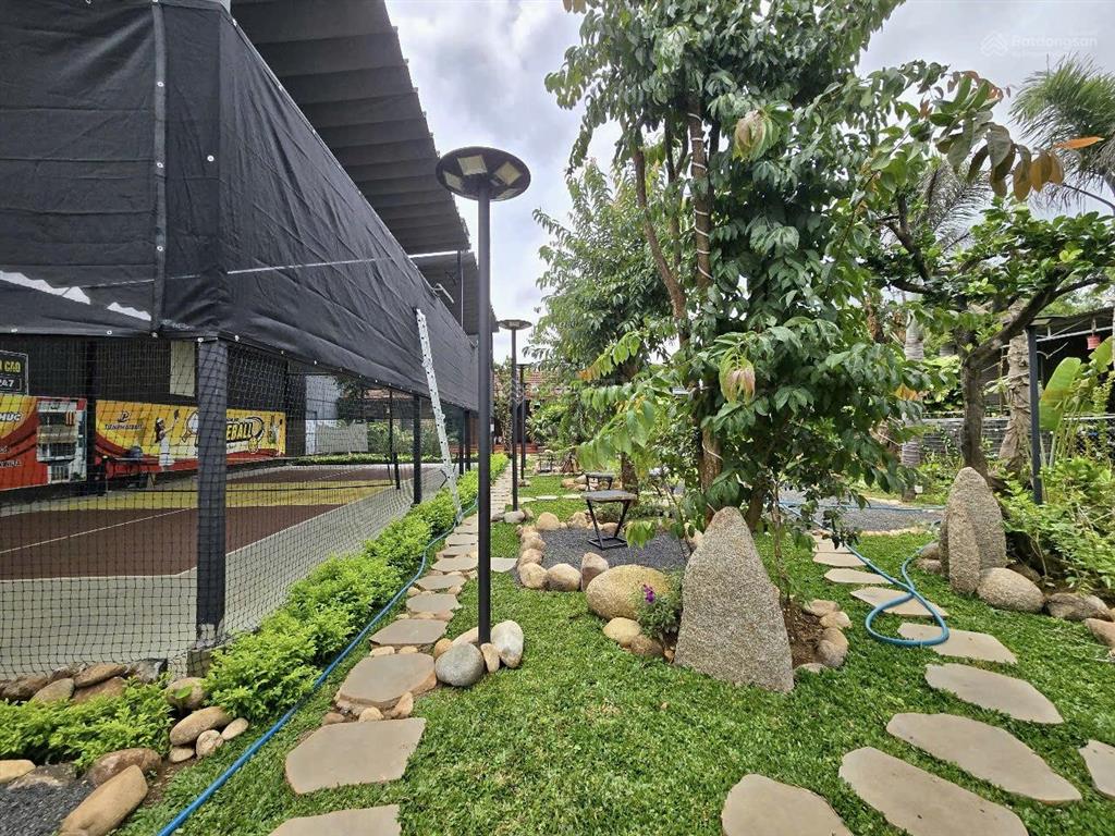 Cho thuê khu tổ hợp quán cà phê + sân pickleball + nhà vườn + hồ cá