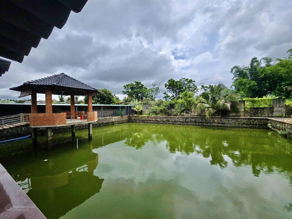 Cho thuê khu tổ hợp quán cà phê + sân pickleball + nhà vườn + hồ cá