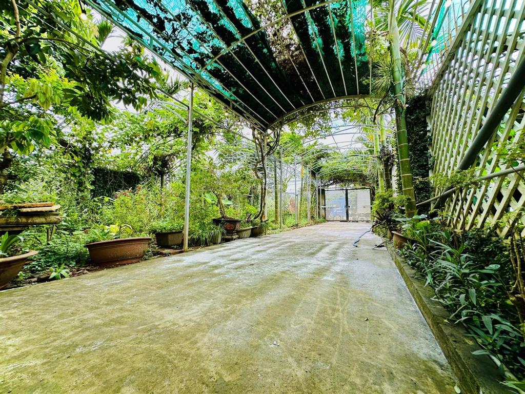 Nhà vườn đẹp mặt tiền y moan  10 x 50m (500m2)  giá hấp dẫn 12 tỷ