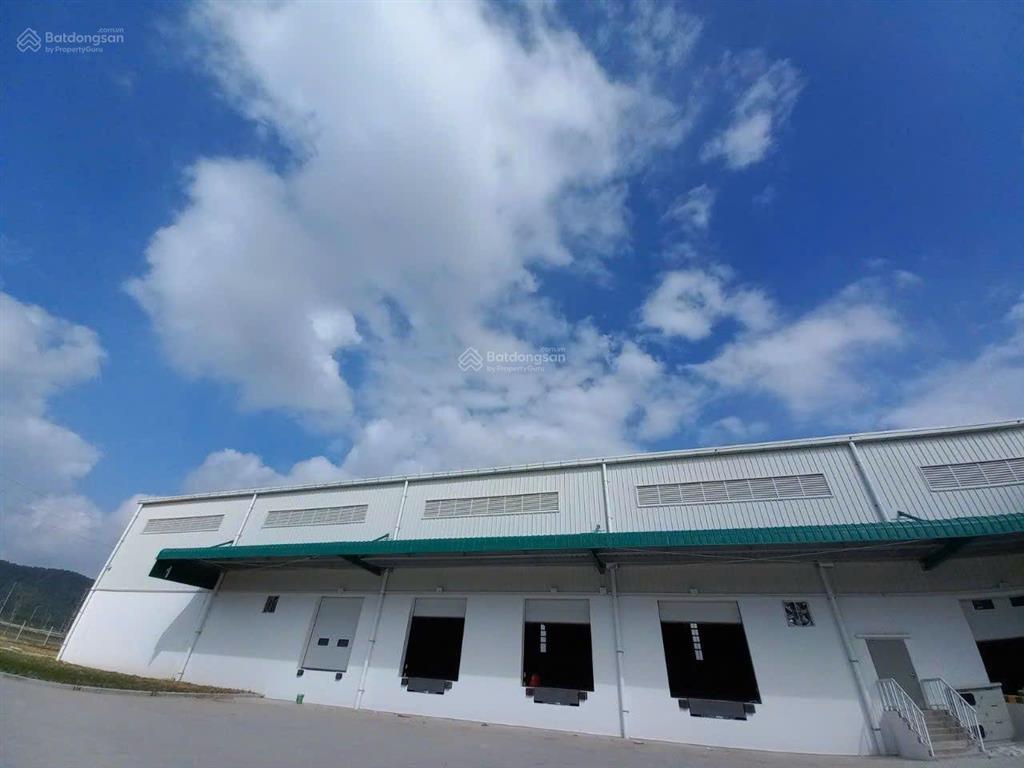 Cho thuê kho bãi tại đà nẵng  kho lạnh, kho ngoại quan, kho kèm dịch vụ vận hành xuất nhập.