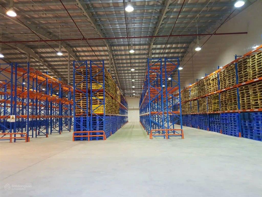 Cho thuê kho bãi tại đà nẵng  kho lạnh, kho ngoại quan, kho kèm dịch vụ vận hành xuất nhập.