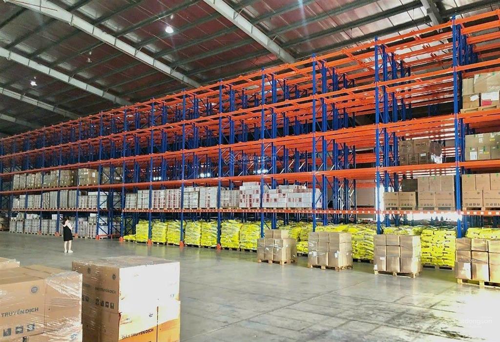 Cho thuê kho bãi tại đà nẵng  kho lạnh, kho ngoại quan, kho kèm dịch vụ vận hành xuất nhập.
