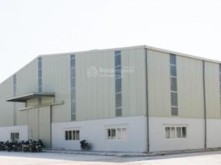 Cho thuê khu nhà xưởng 5000  30.000m2  15000m2 trong kcn tại điện bàn, tp đà nẵng pccc tự động