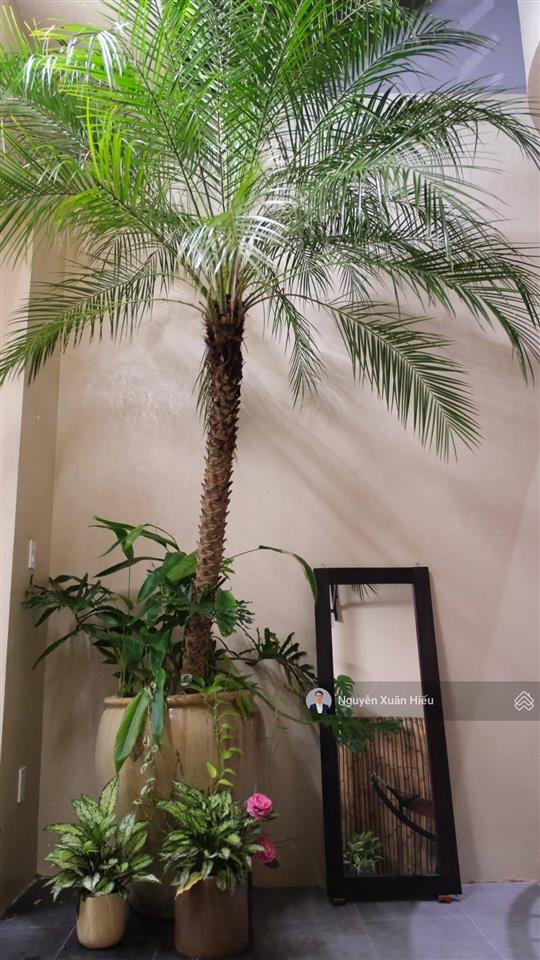 Bán nhà phong cách hội an  mỹ đa tây 5, nam việt á  gần sông  100m2  phù hợp airbnb