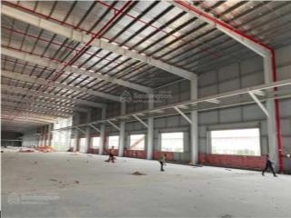 Kho xưởng ở an lão dt 1200m2 và 3000m2, gần trục ql10, pccc tự động tiêu chuẩn