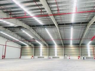 Cho thuê 2400m2 kho khu vực cảng đình vũ, giá siêu rẻ chỉ 60k/m2 mà đủ pccc tự động