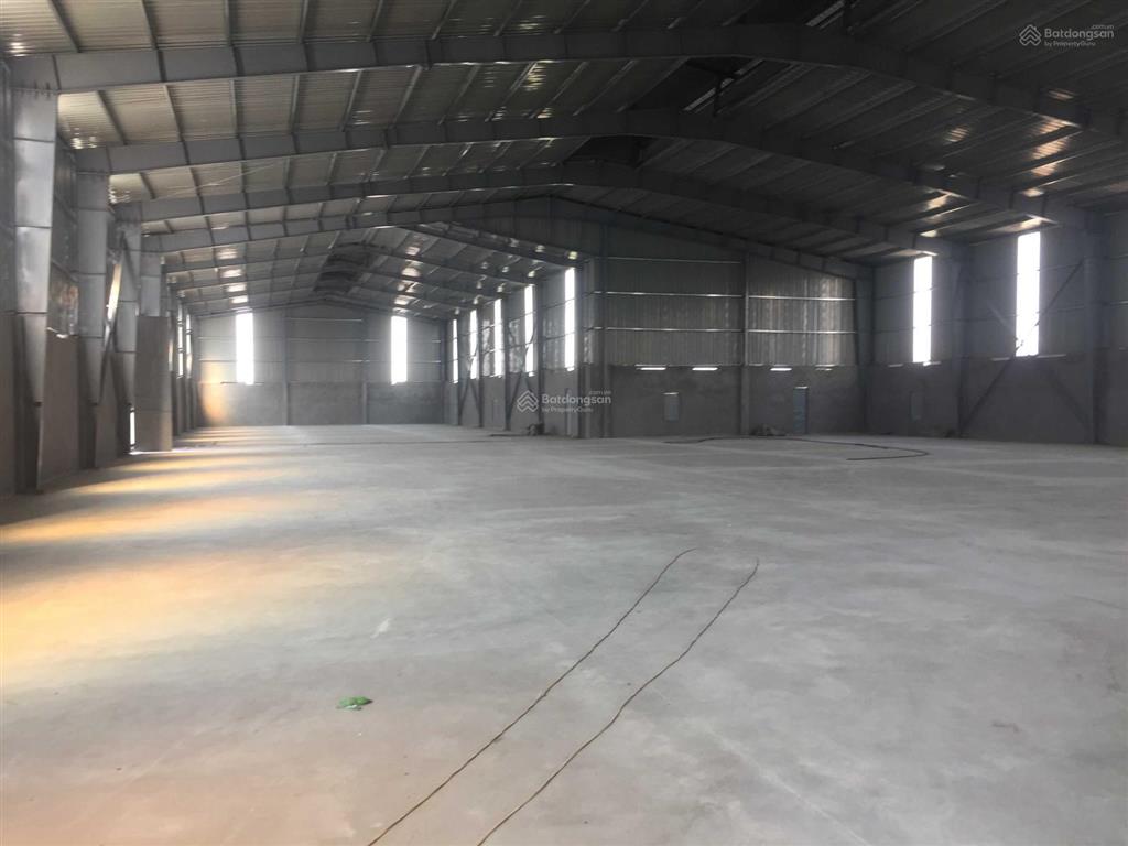Cho thuê xưởng 10000m2 cụm công nghiệp tiên lãng