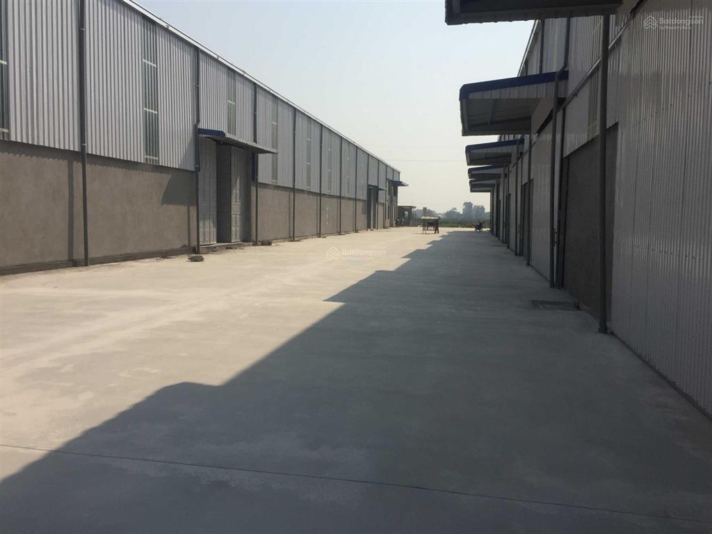 Cho thuê xưởng 10000m2 cụm công nghiệp tiên lãng