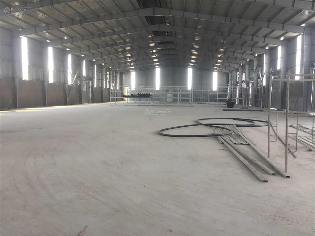 Cho thuê xưởng 10000m2 cụm công nghiệp tiên lãng