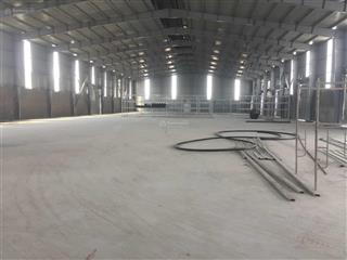 Cho thuê xưởng từ 5000m2, 10000m2, 20000m2 cụm công nghiệp tiên lãng