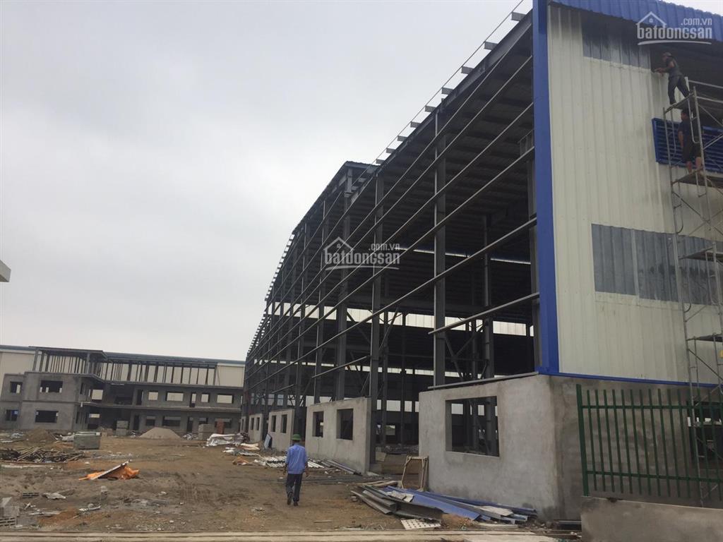 Cần cho thuê xưởng khu vực an lão, hải phòng, diện tích 3300m2