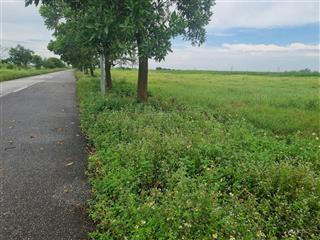 Chuyển nhượng 52000m2 đất xưởng thanh liêm ccn, giá cực tốt