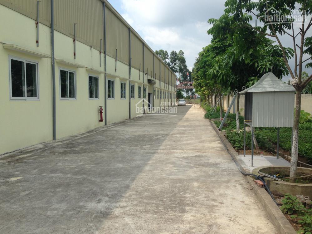 Cho thuê xưởng mới 12000m2 gần kcn đại an, hải dương
