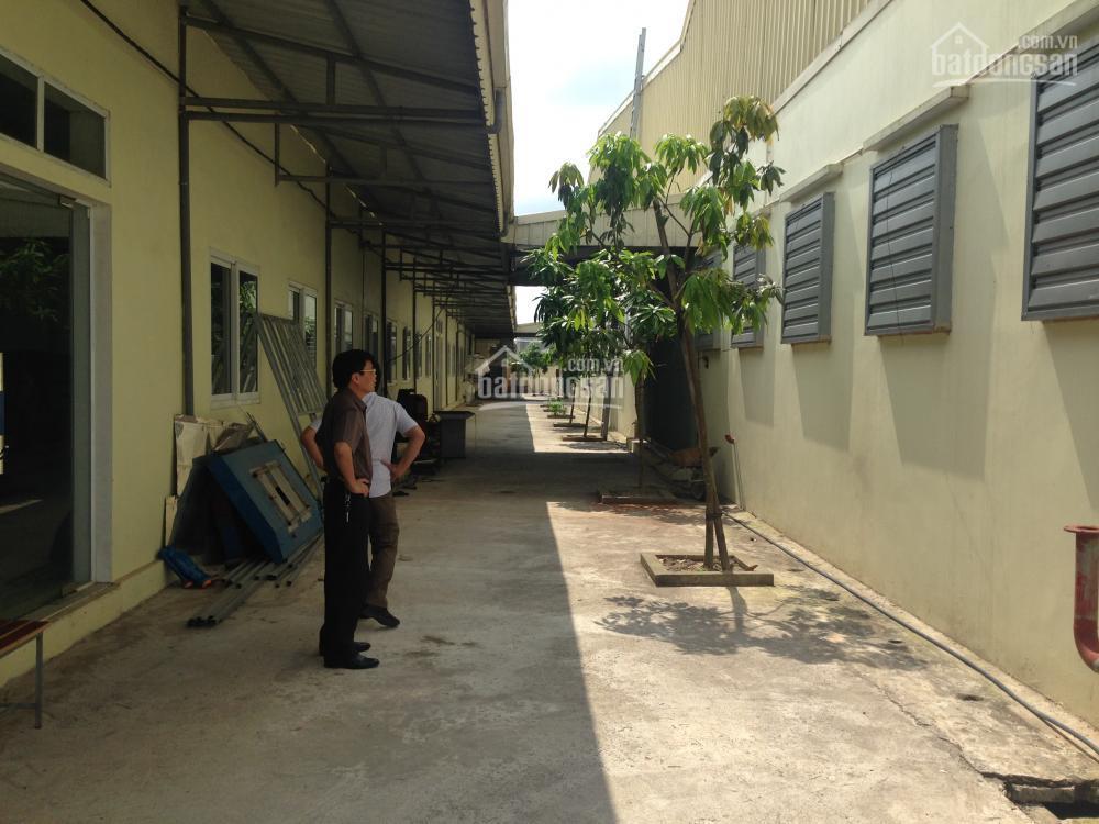 Cho thuê xưởng mới 12000m2 gần kcn đại an, hải dương