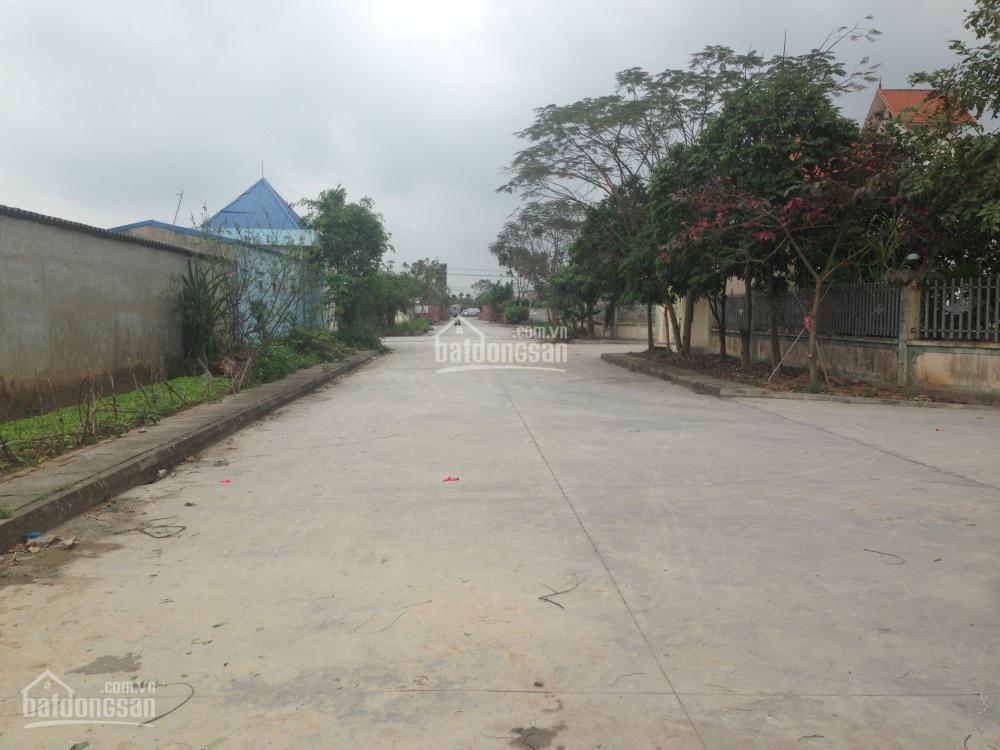Bán đất công nghiệp tại hải phòng