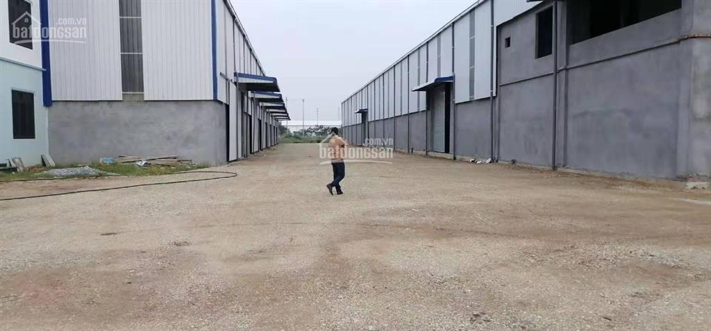 Cho thuê gấp khu nhà xưởng 6000m2, tổng khuôn viên 12000m2 tại thái bình