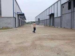 Cho thuê gấp khu nhà xưởng 6000m2, tổng khuôn viên 12000m2 tại thái bình
