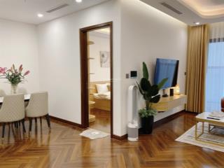 Chính chủ cho thuê căn hộ 1 phòng ngủ chung cư doji 12tr/ tháng bao phí