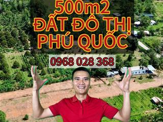 Bán gấp lô đất 500m², mặt tiền 20m tại ba trại  phú quốc, sổ rõ ràng