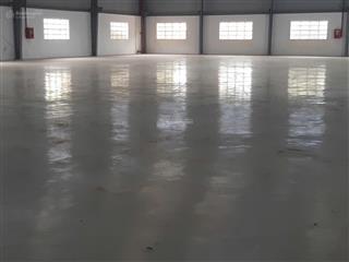 Cho thuê kho xưởng , dt 1.680m² , phước lý, cần giuộc giáp bình chánh , xe cont ra vào