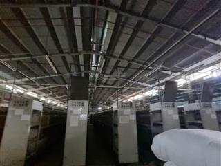 Cho thuê kho xưởng 850m² cho thuê tại bình tân, có pccc tự động, container ra vào ban ngày