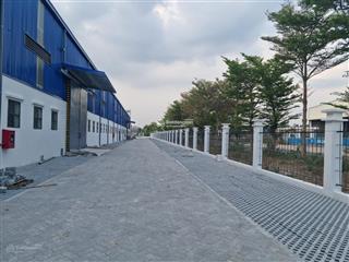 Cho thuê nhà xưởng mới xây dựng, huyện tân phước, tỉnh tiền giang. tổng 12,000 m2