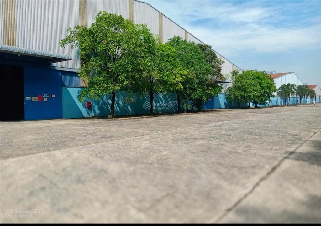 Cho thuê kho chứa hàng 10.000m2 mt đường quốc lộ 51, phường tam phước, đồng nai