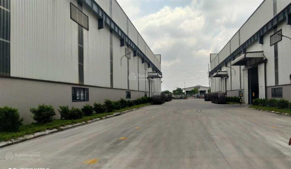 Cty dcn cho thuê kho xưởng lô 2b kcn yên phong  bắc ninh. dt 20.000m2 có thể chia nhỏ từ 1000m2