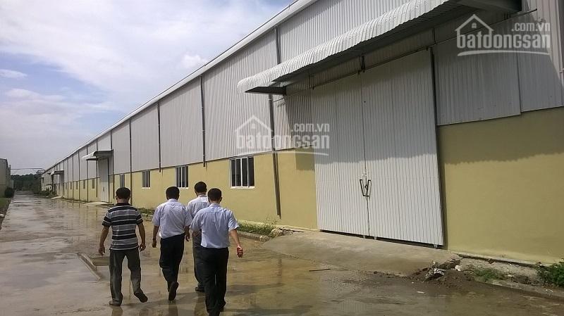 Cho thuê kho xưởng lô 5a kcn thuận thành (khai sơn) bắc ninh, dt 8000m2 có chia nhỏ từ 1000m2
