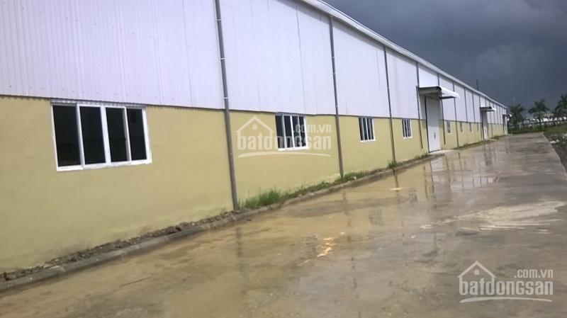 Cho thuê kho xưởng lô 5a kcn thuận thành (khai sơn) bắc ninh, dt 8000m2 có chia nhỏ từ 1000m2