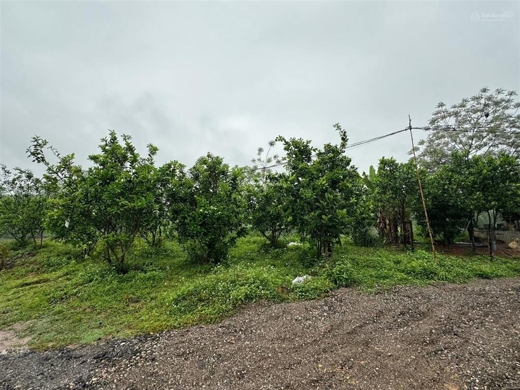 Siêu nghỉ dưỡng hồ ghềnh chè tp sông công tỉnh thái nguyên,dt 11.000m2 400tc thực tế hơn 1,7ha