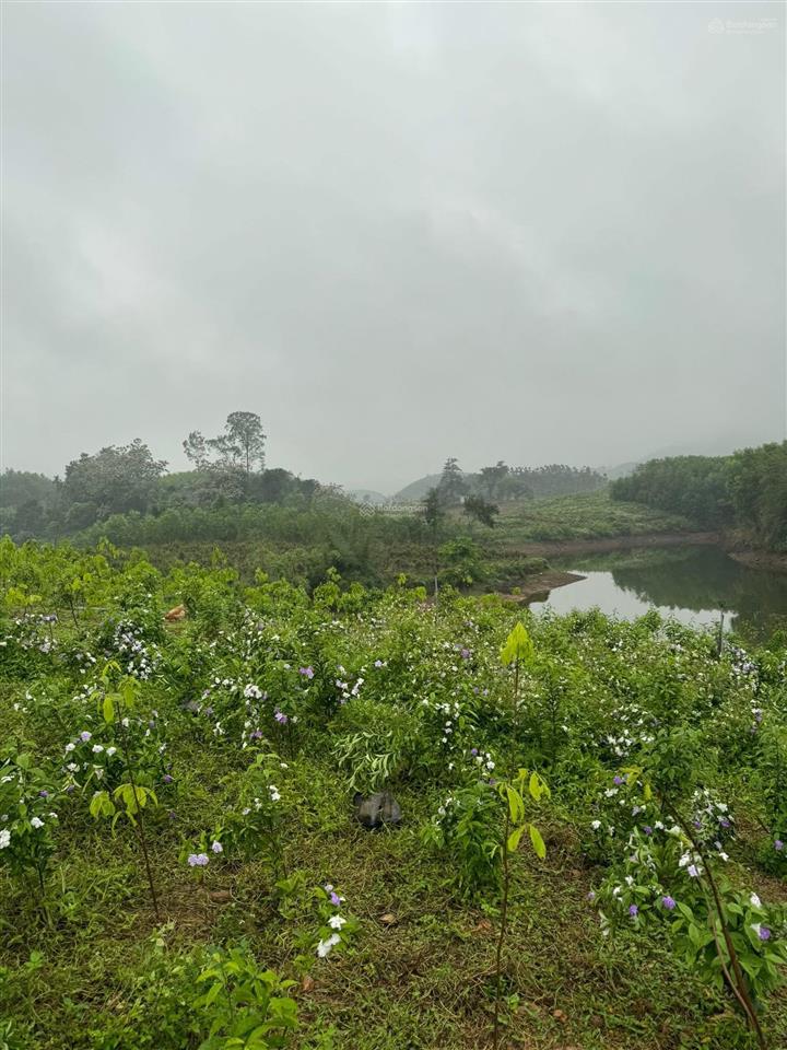 Siêu nghỉ dưỡng hồ ghềnh chè tp sông công tỉnh thái nguyên,dt 11.000m2 400tc thực tế hơn 1,7ha