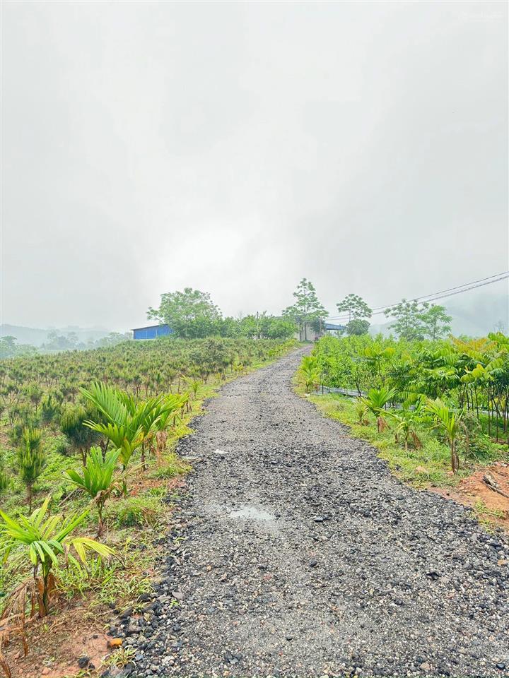 Siêu nghỉ dưỡng hồ ghềnh chè tp sông công tỉnh thái nguyên,dt 11.000m2 400tc thực tế hơn 1,7ha