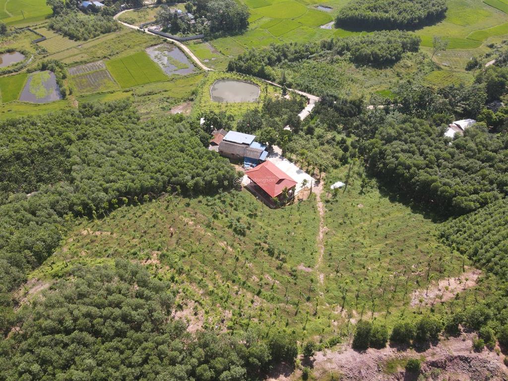 Gđ cần bán 9600m2 1400m2 sẵn khuôn viên nhà sàn vườn cây ao cá tại bình sơn, sông công thái nguyên