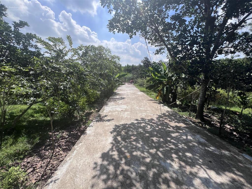 Gđ cần bán 9600m2 1400m2 sẵn khuôn viên nhà sàn vườn cây ao cá tại bình sơn, sông công thái nguyên