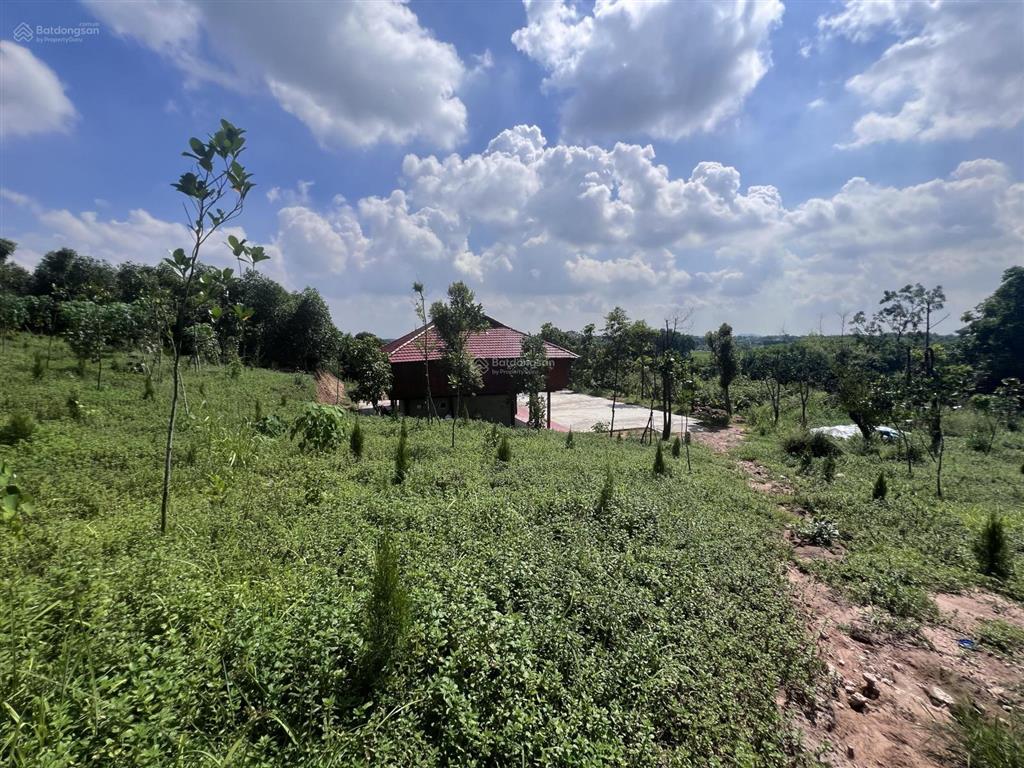 Gđ cần bán 9600m2 1400m2 sẵn khuôn viên nhà sàn vườn cây ao cá tại bình sơn, sông công thái nguyên