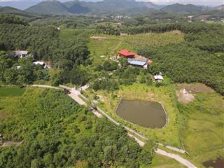 Gđ cần bán 9600m2 1400m2 sẵn khuôn viên nhà sàn vườn cây ao cá tại xã bình sơn,sông công thái nguyê