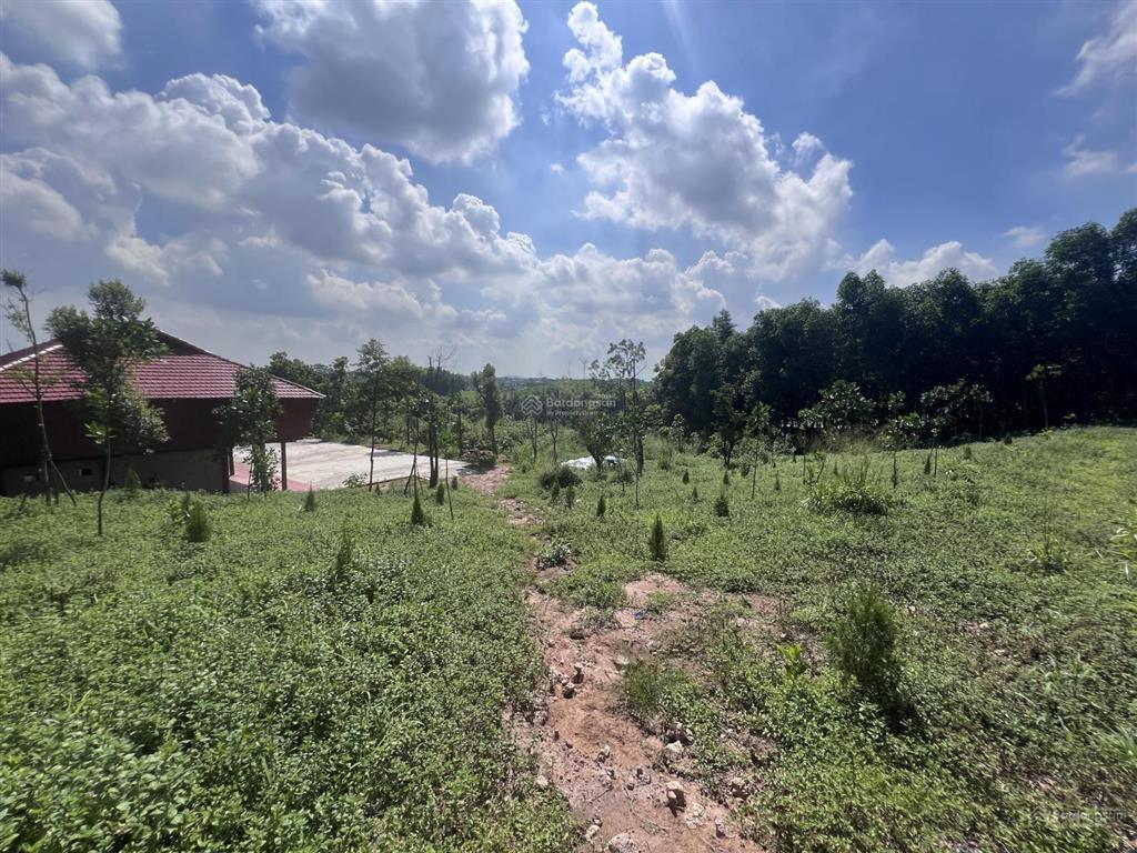 Gđ cần bán 9600m2 1400m2 sẵn khuôn viên nhà sàn vườn cây ao cá tại bình sơn, sông công thái nguyên