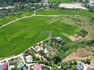 Cần bán 1371m2 view cánh đồng tại phường kỳ sơn  tp hòa bình