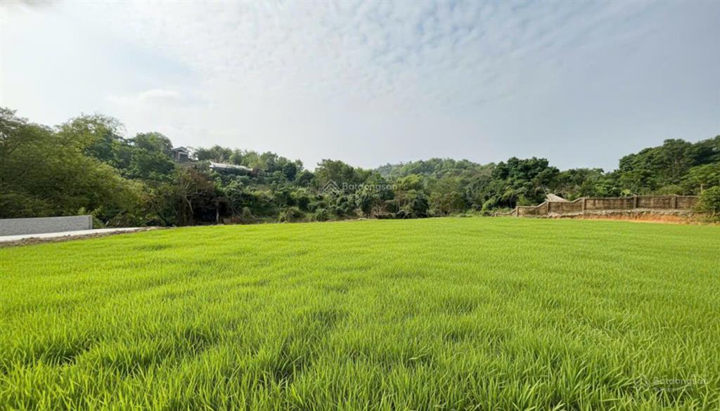 Cần bán gấp lô đất nghỉ dưỡng cực đẹp  gần legacy hill