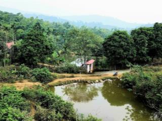 12.000m thổ cư và đất vườn  tặng thêm 3.100m đất sử dụng ổn định