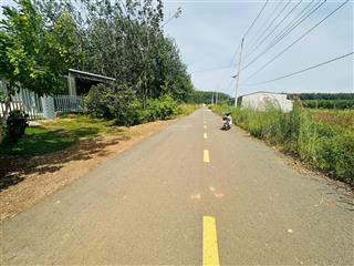 Bán đất mặt tiền đường nhựa (qh 29m) tân phước, đồng phú thổ cư 100m2 khu dân cư