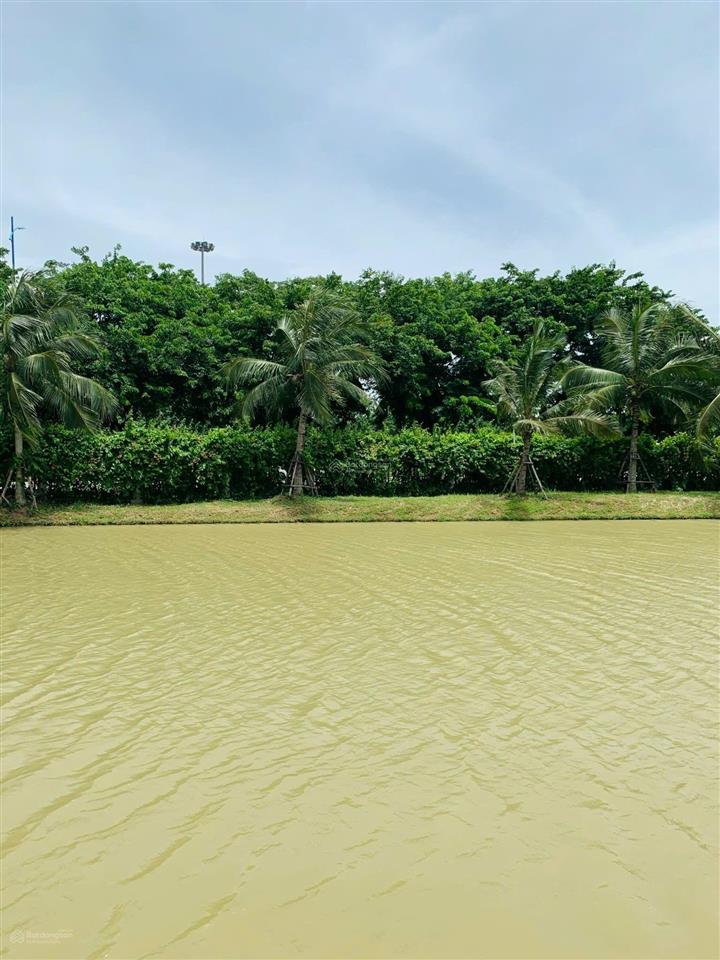 Cần bán biệt thự đơn lập 350m2 nhà thô hướng đông nam, view vườn hoa sông sau nhà to rộng