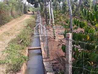 Bán đất ea pok, cư mgar, dak lak buôn ma thuột 3000m2 (3 sào) giá 1,5 tỷ